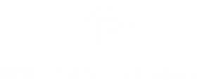 Birch Run Investments